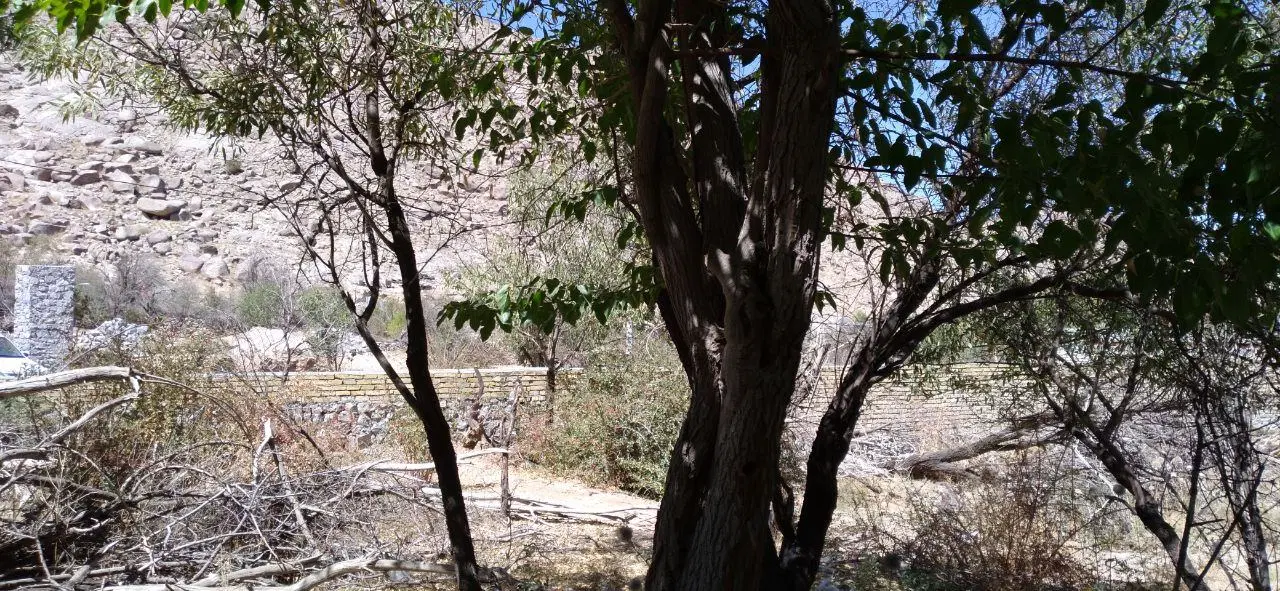 باغ طزرجان ۲۷۰ متری
