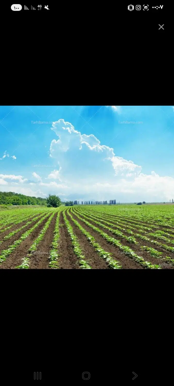 فروش زمین کشاورزی در شبیلو