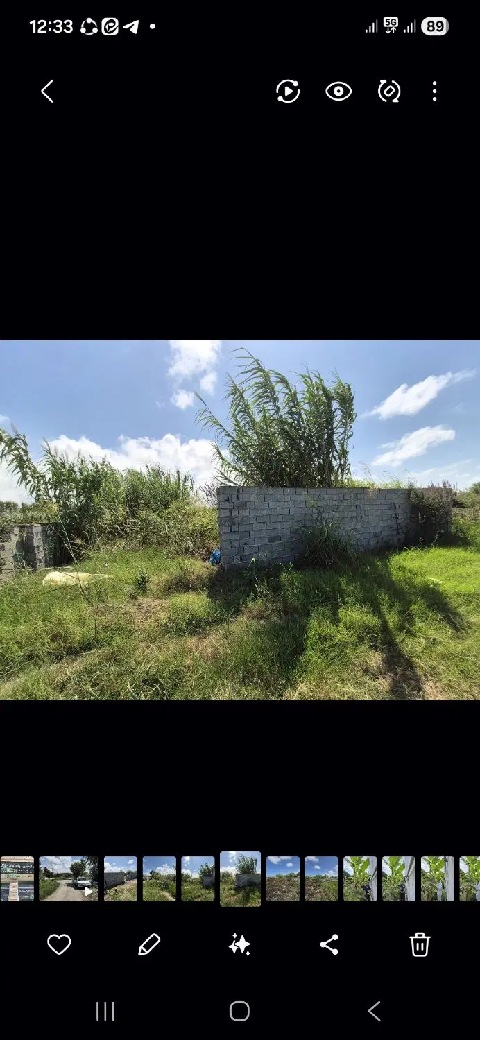 ۲۳۰ متر زمین محمودآباد (سیاهرودسر)