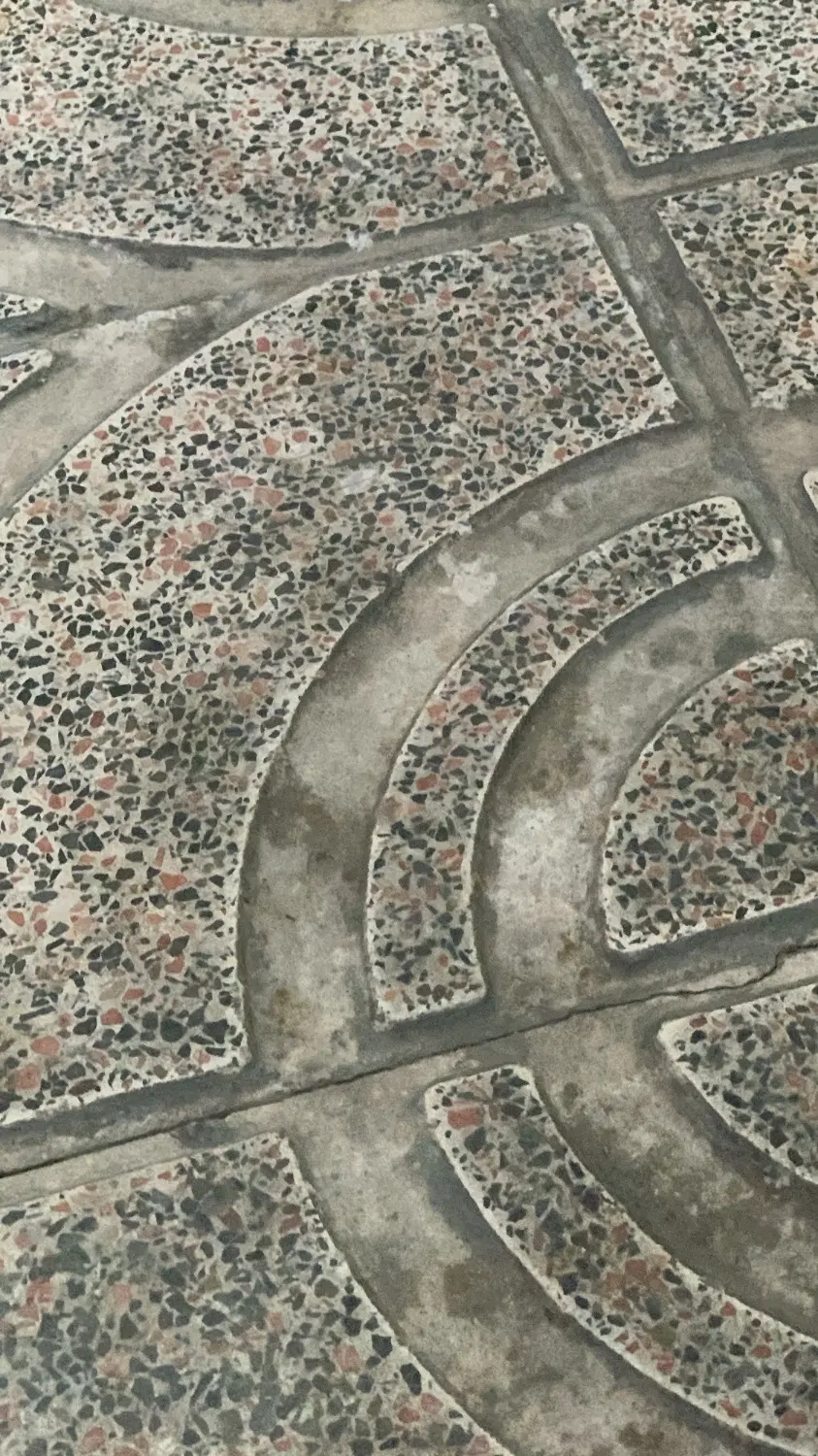 زمین سیاه کله بهر کمربندی جدید
