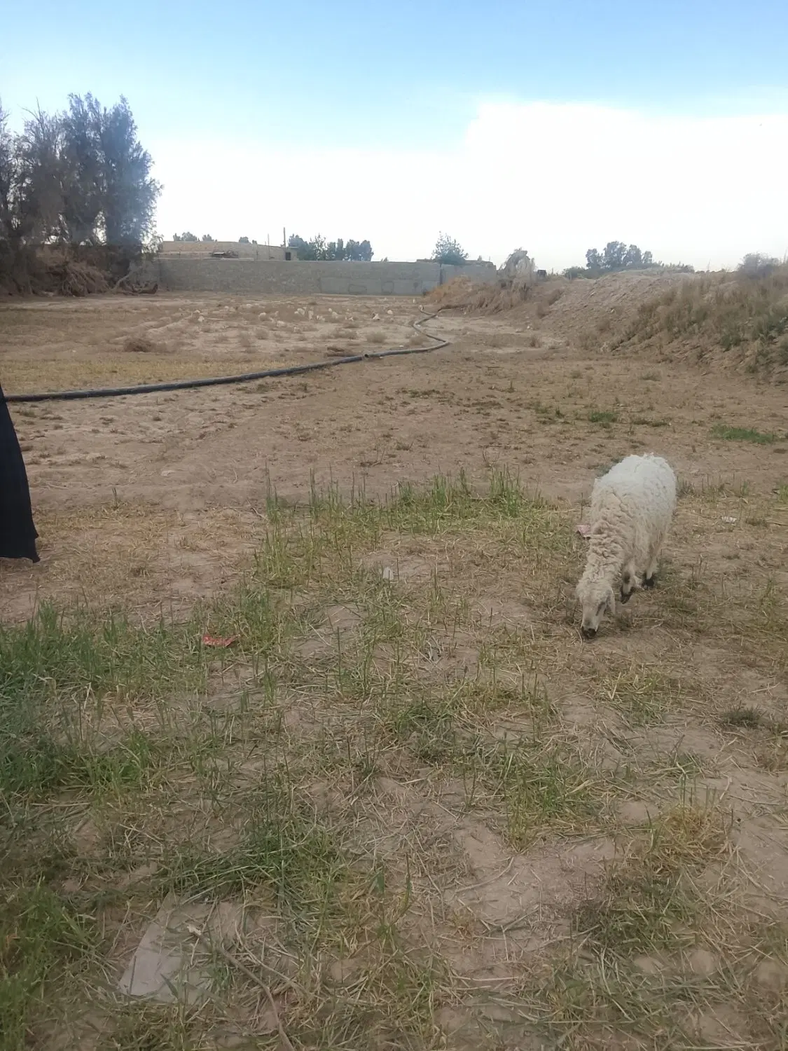 زمین مسکونی دوراهیی پکک