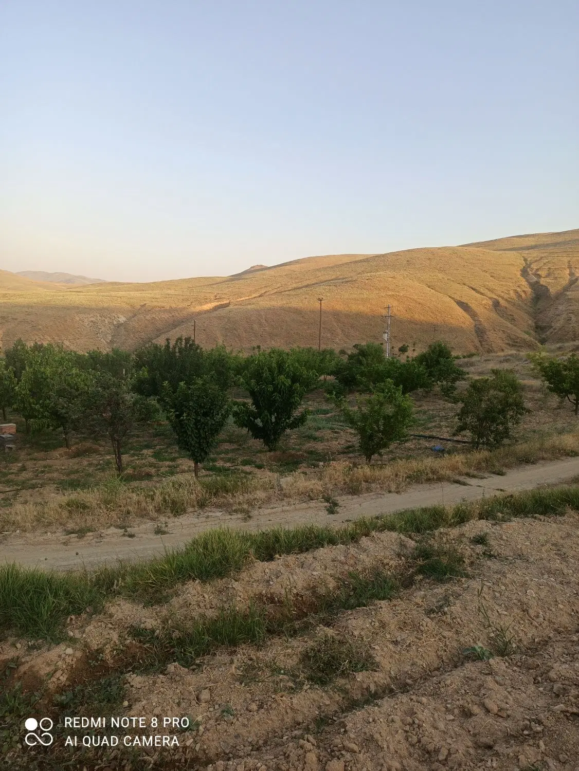 فروش باغ