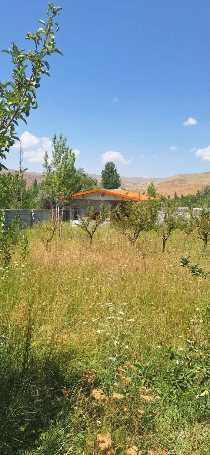 باغ نقلی در اسپیران