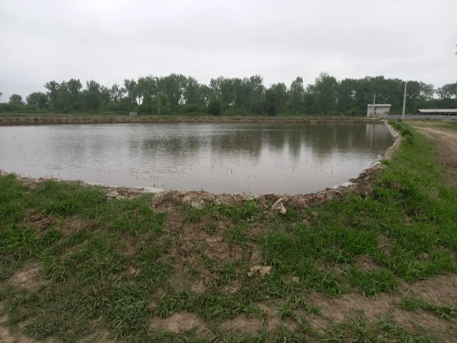 فروش زمین ۸ هزارمتری چندکاربره(سند دار)روستای گلون