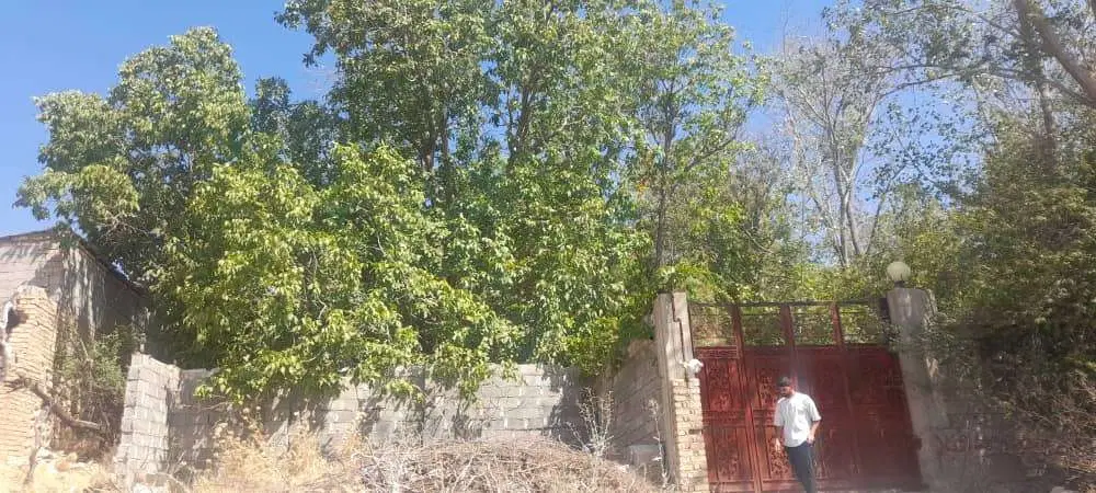مغازه