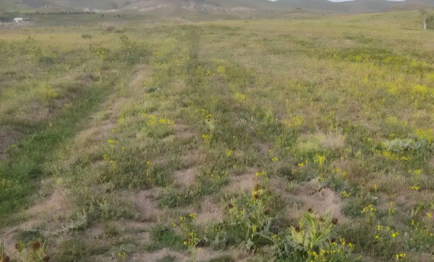 خرید و فروش زمین باغ اباذر کورانه