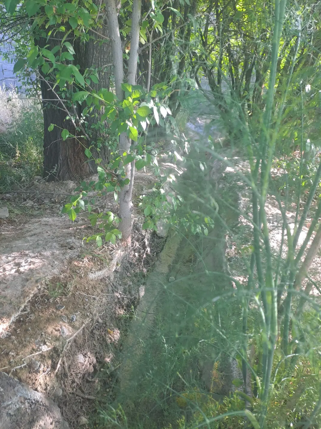 فروش زمین طرح هادی در کران