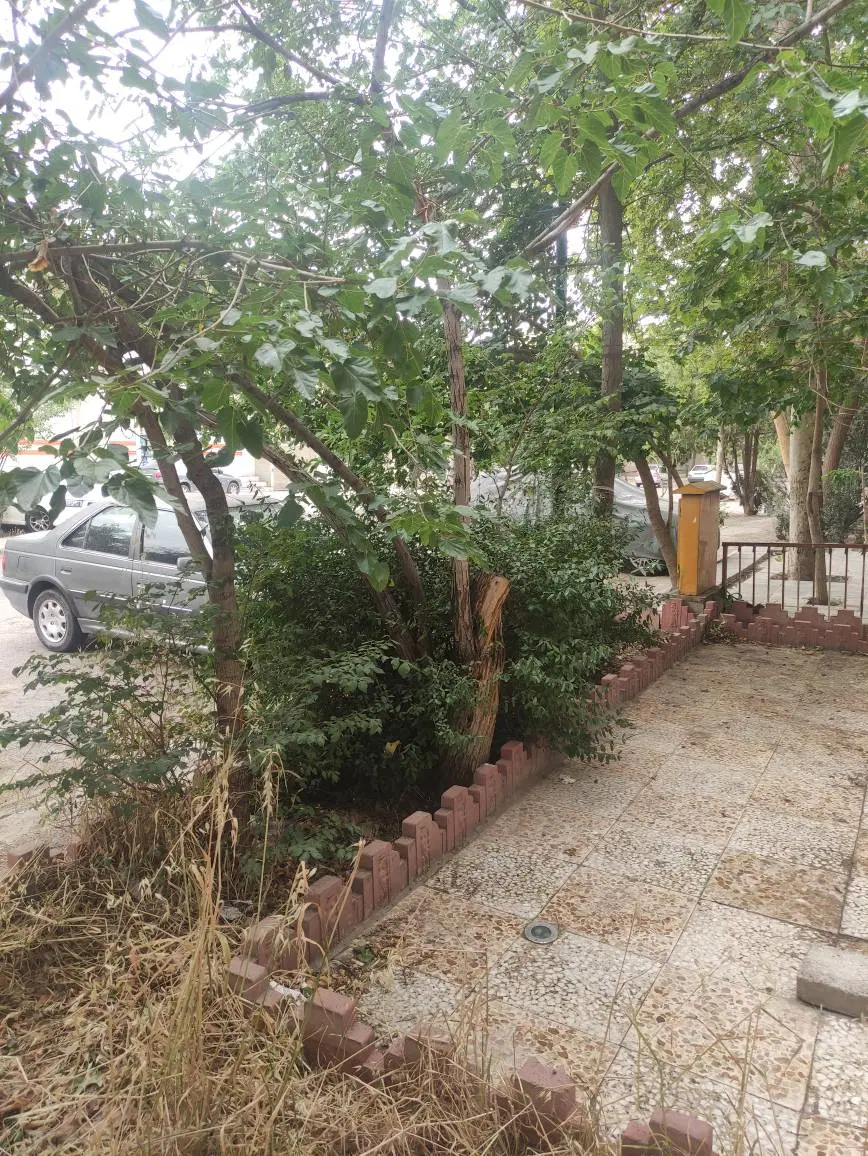 اجاره آپارتمان