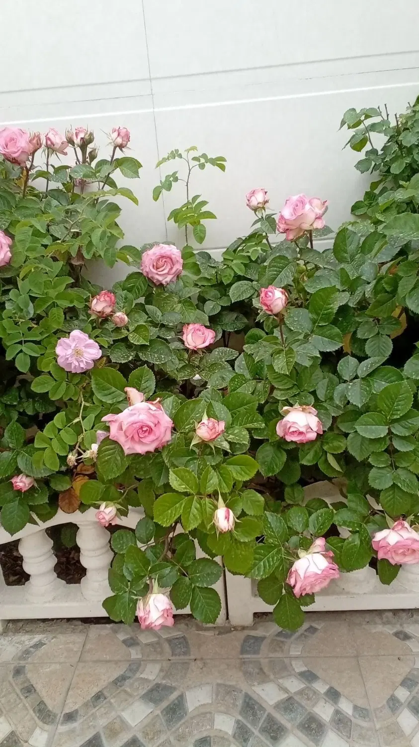 منزل ویلایی مرکز شهر