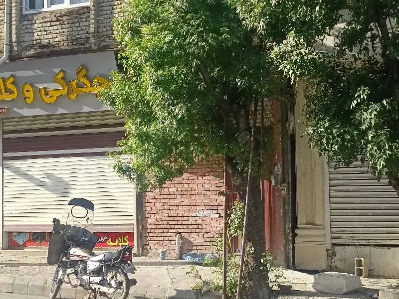 خانه اجاره خ اصلی  کریم اباد