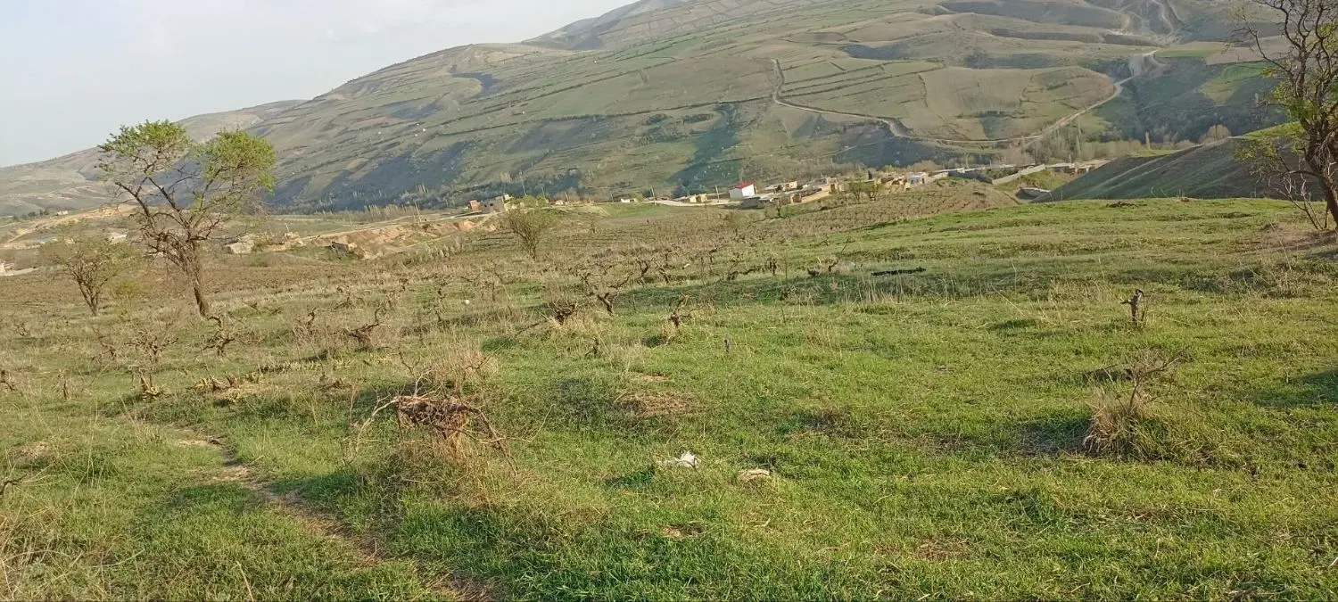 فروش زمین