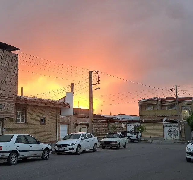 همخانه