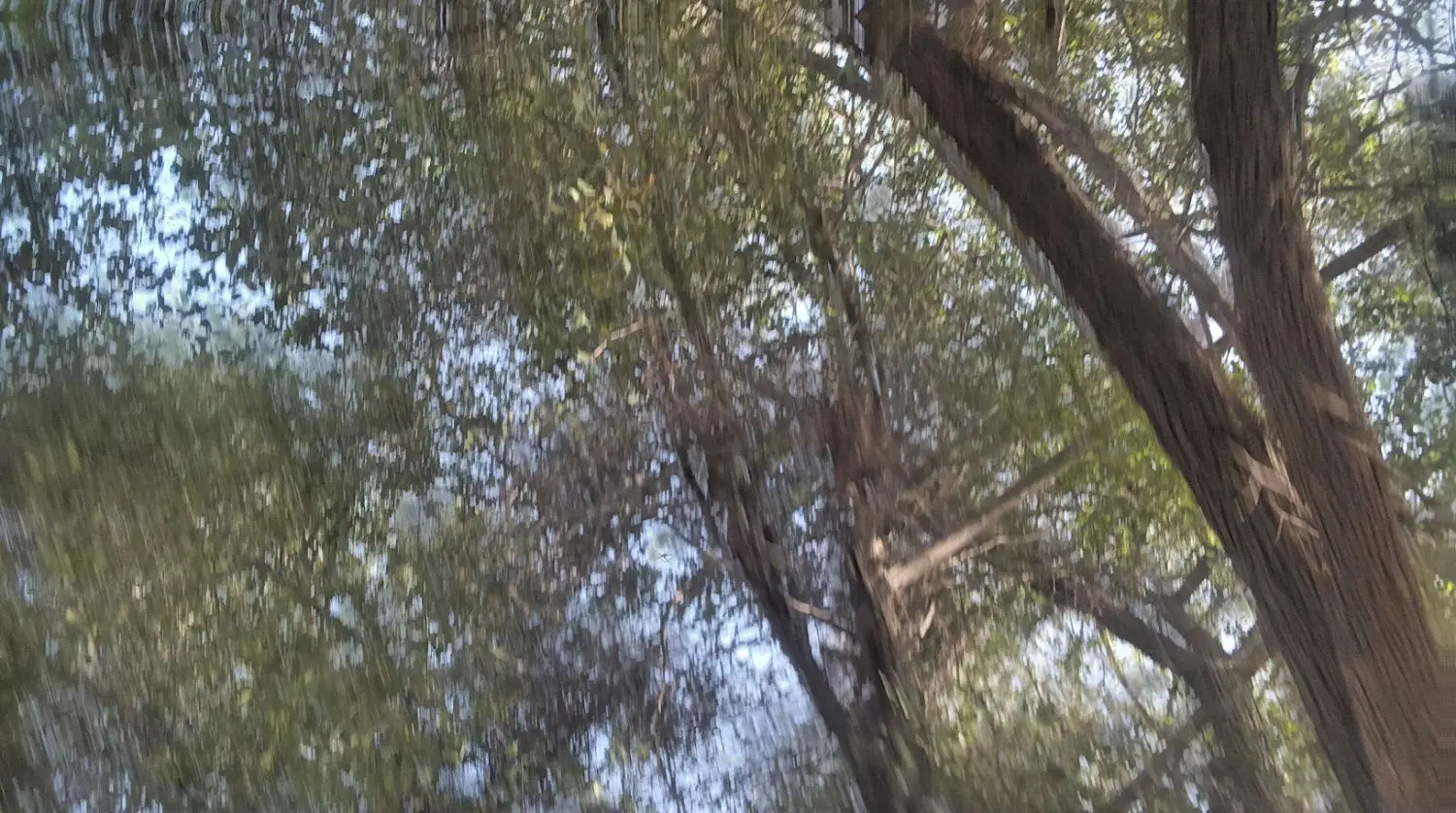 زمین سرخون