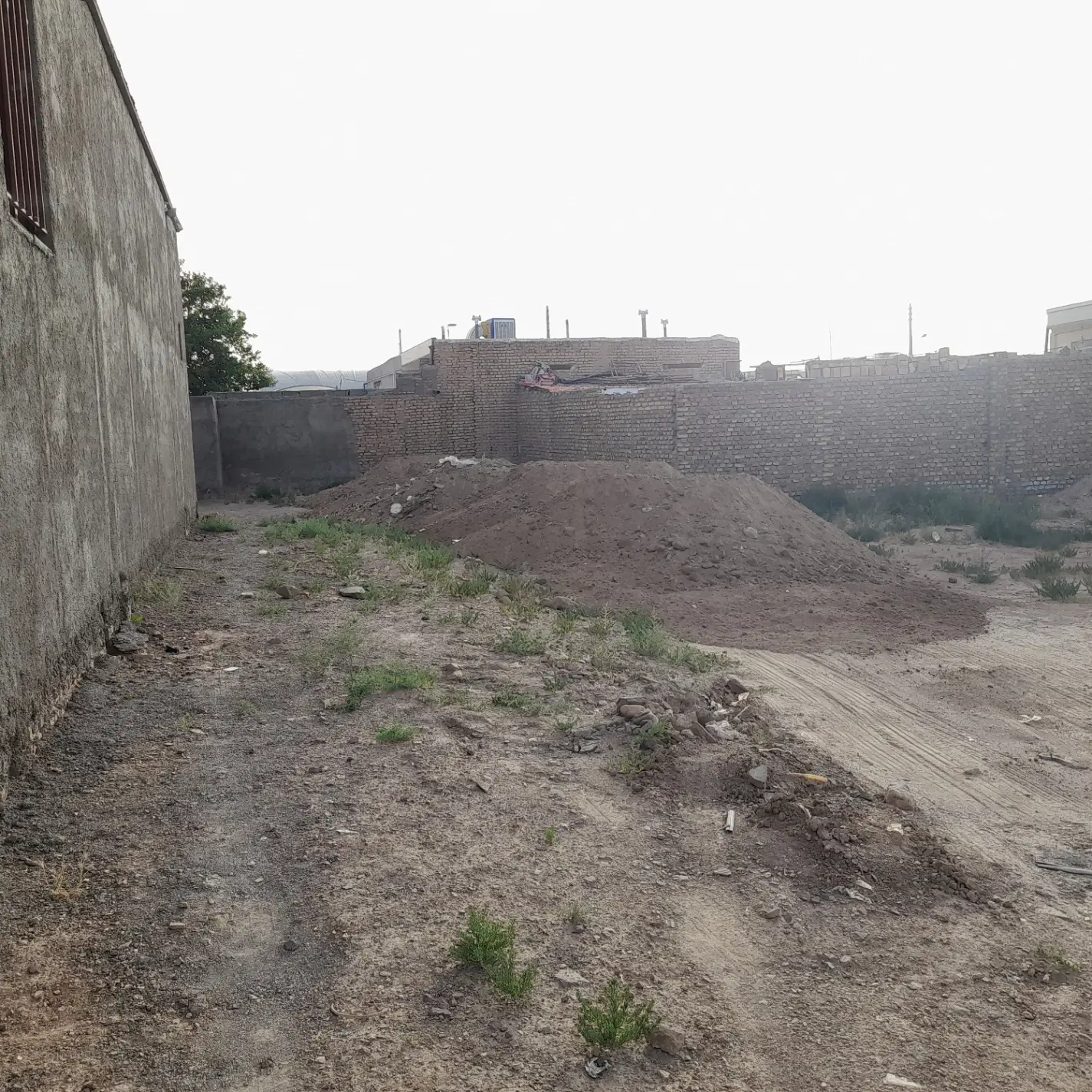 زمین سه فرزندی