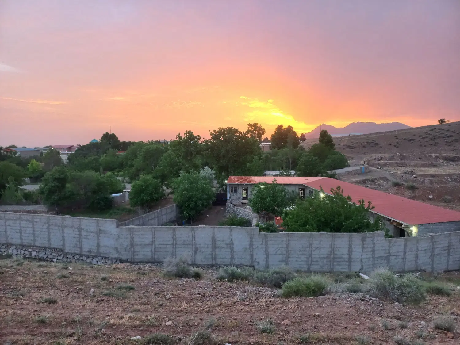فروش باغ پرندگان زینتی