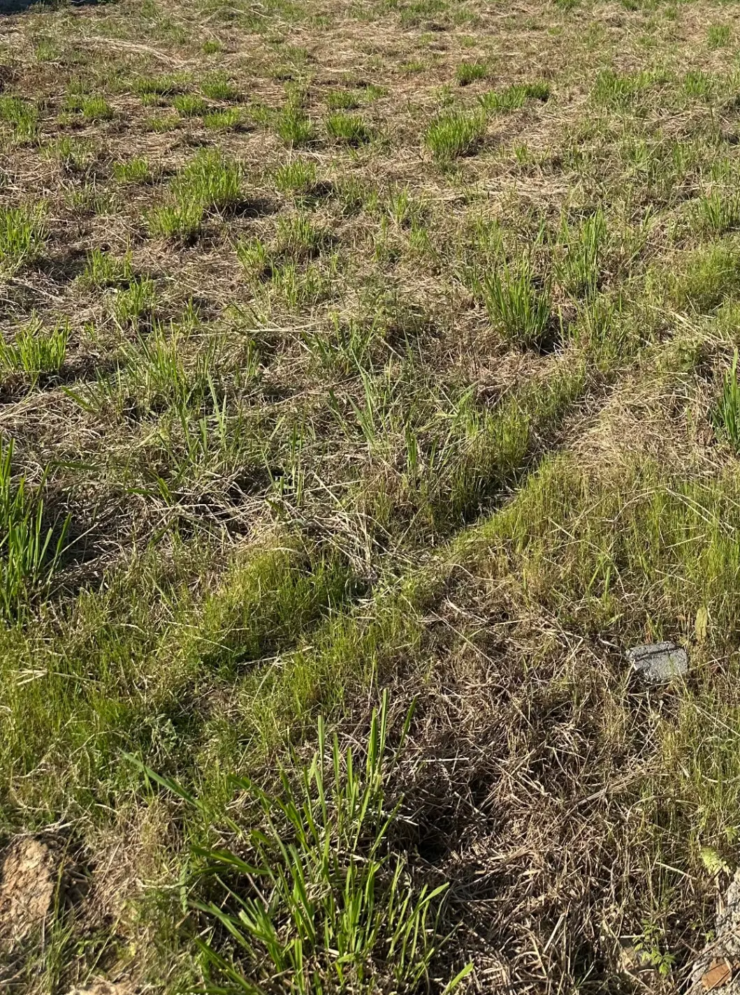 280 متر کاسبی، هرطه کلا متری ۵