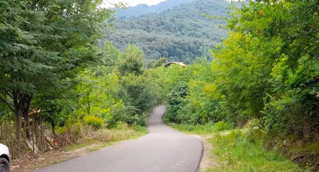 زمین فروشی در ماسال