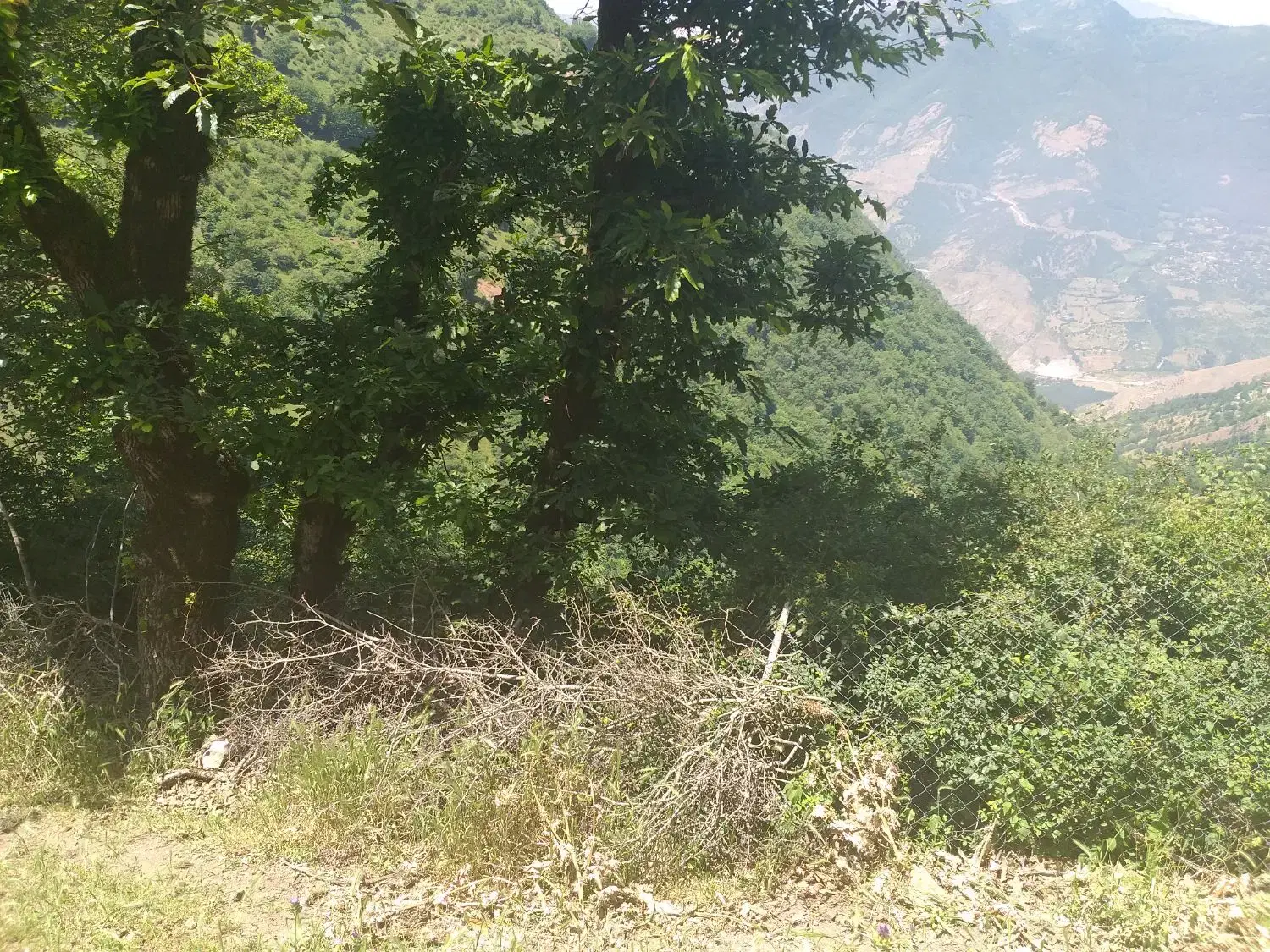 زمین در بهشت