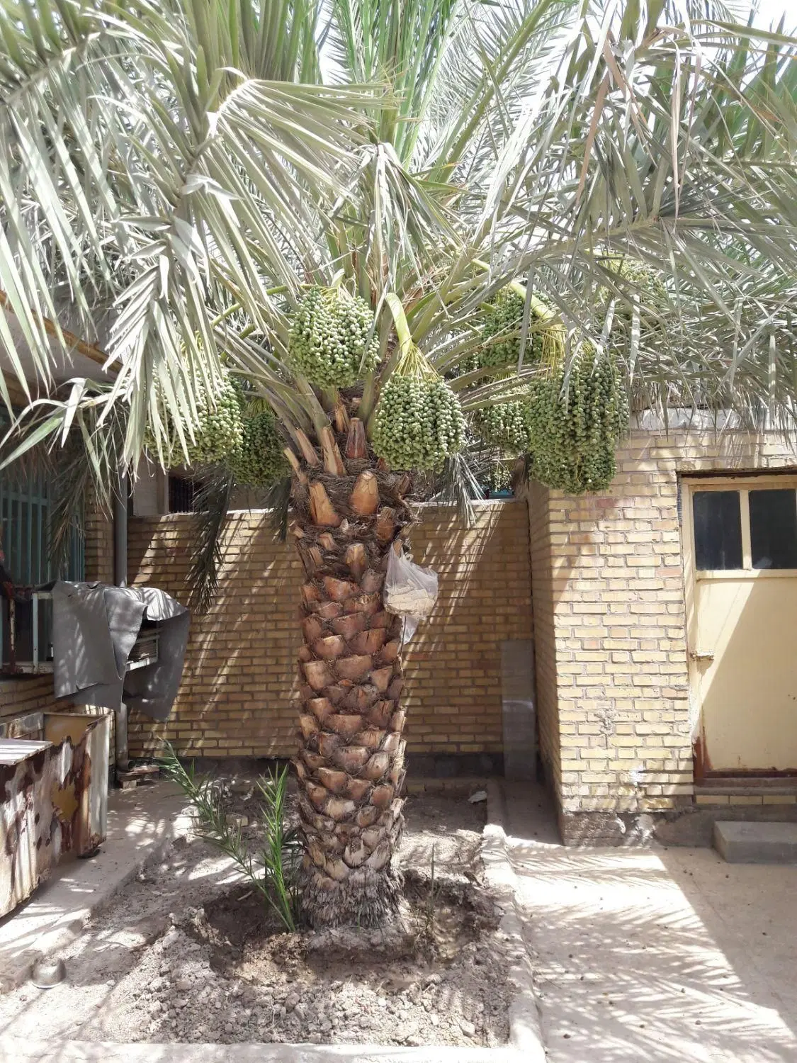 ملک ویلایی درابادان برای فروش