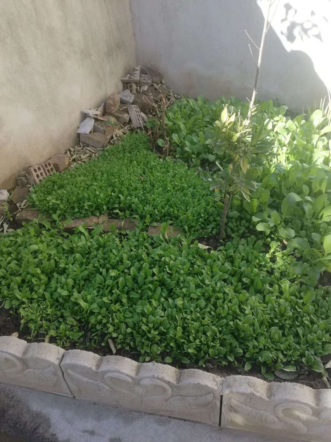 فروش خانه ویلایی