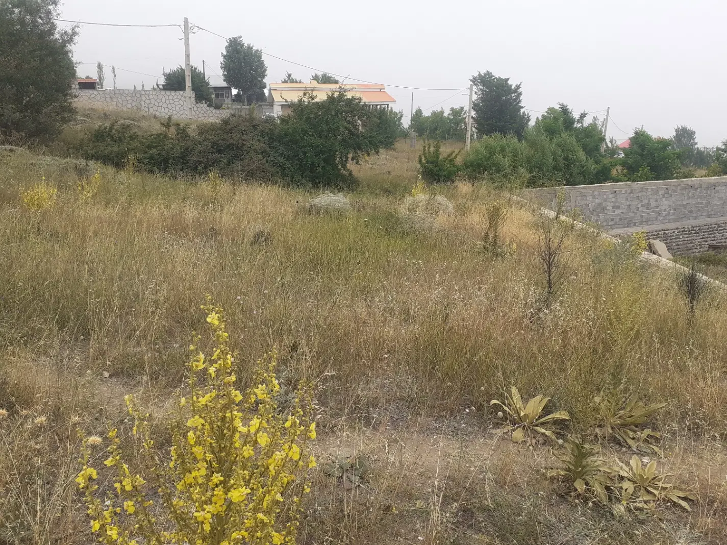 دو قطعه زمین مسکونی با سند تک برگ در منطقه اسپیلی