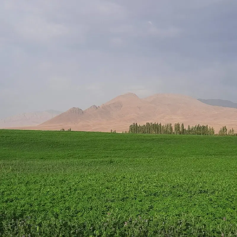 زمین زراعی و کشاورزی
