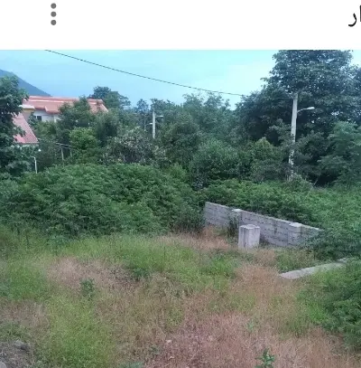 مشارکت در ساخت