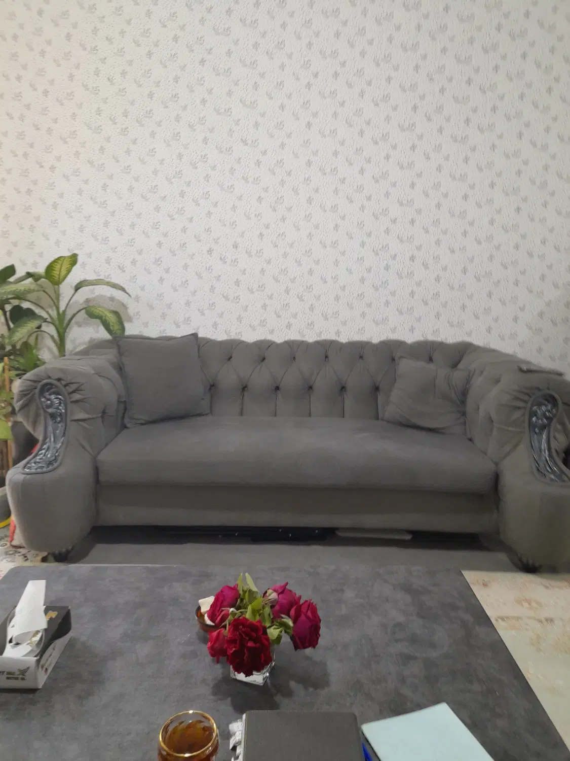 فروش حیاط سندآماده در ریحان اباد