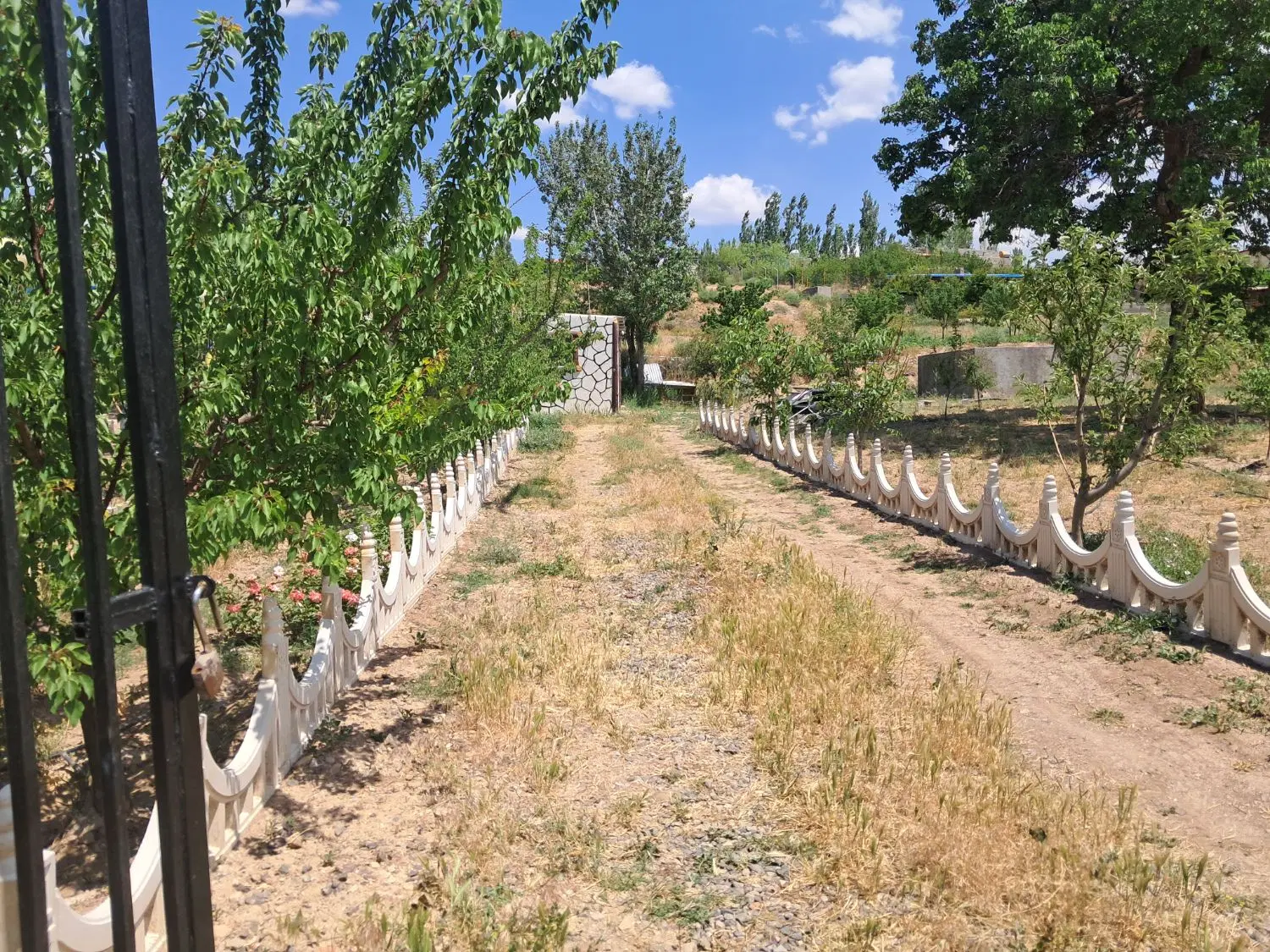 باغ شخصی جاده تبریز