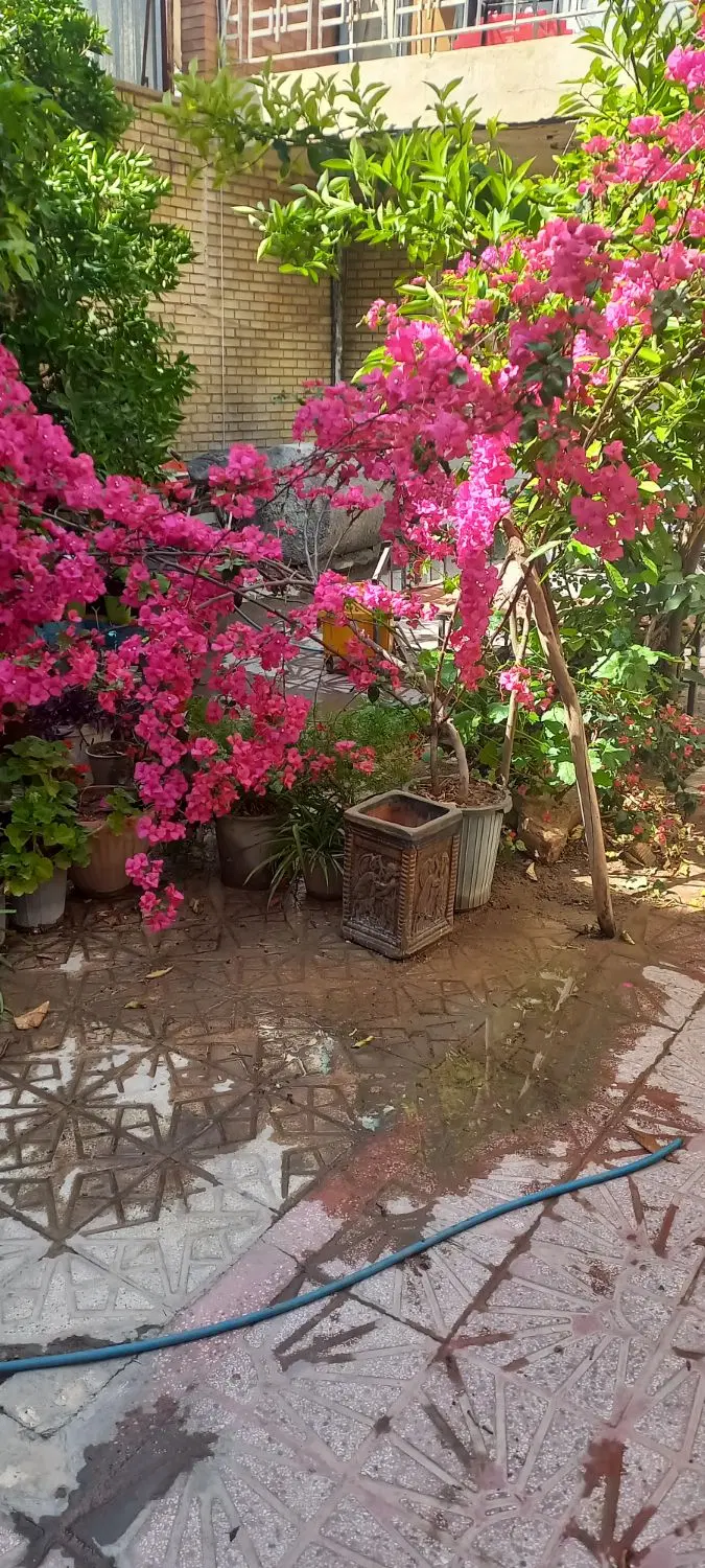 ۱۹۰ متر خیابان وصال شمالی