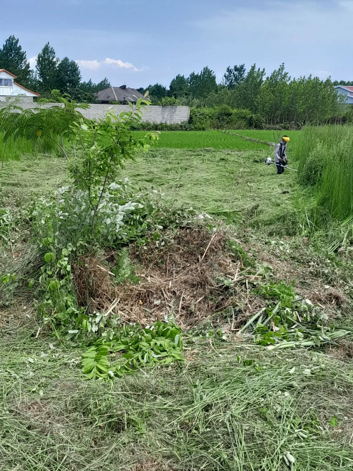 ۳۰۰مترزمین باغی طرح هادی