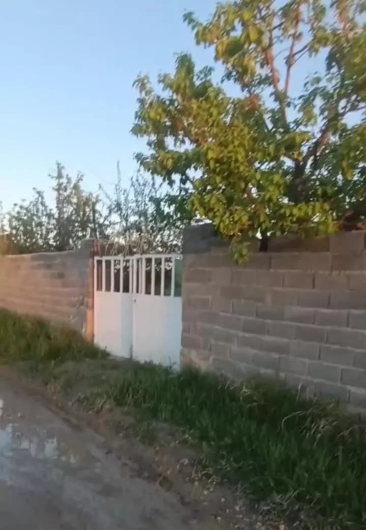 فروش باغ