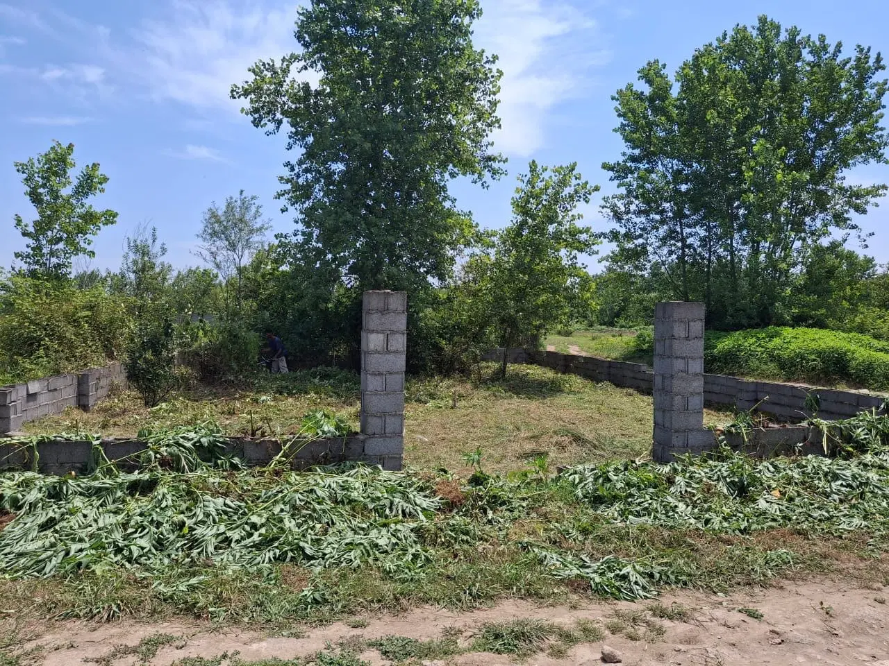 زمین در رودسر