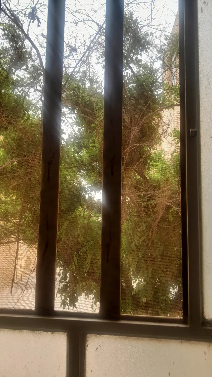فروش زمین