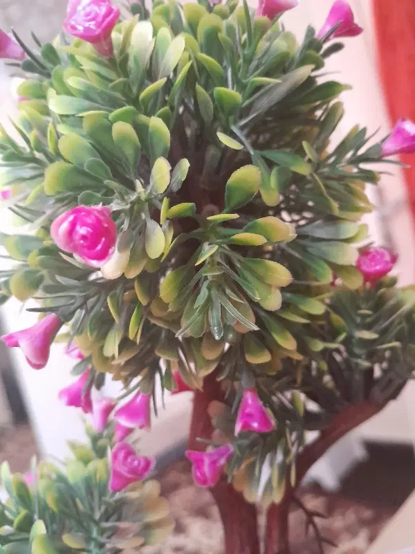 فروش باغ دارای چشمه