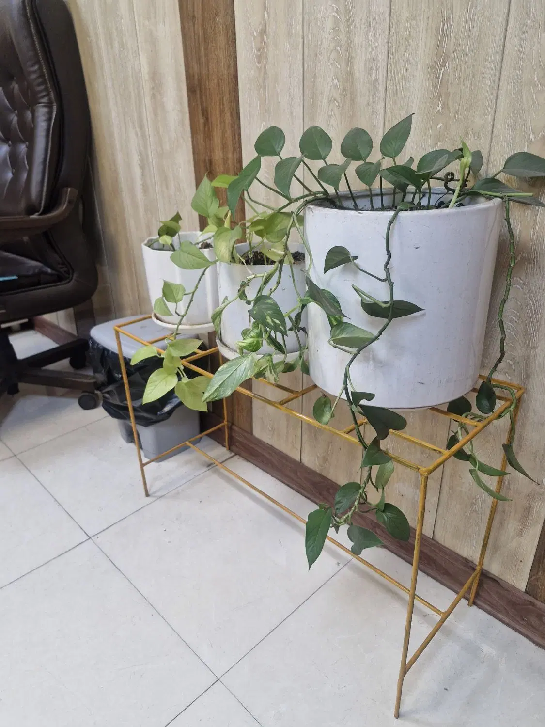 هم خونه گوهردشت