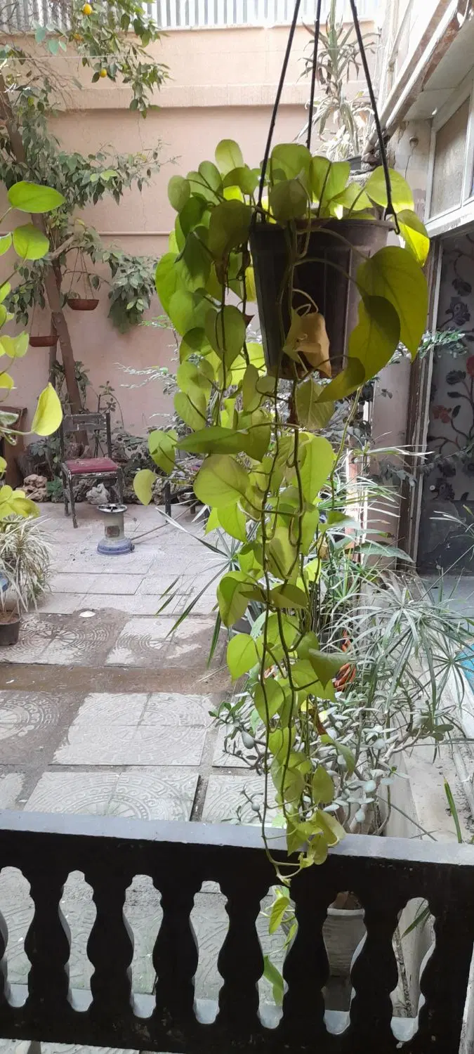 رهن و اجاره منزل ویلایی