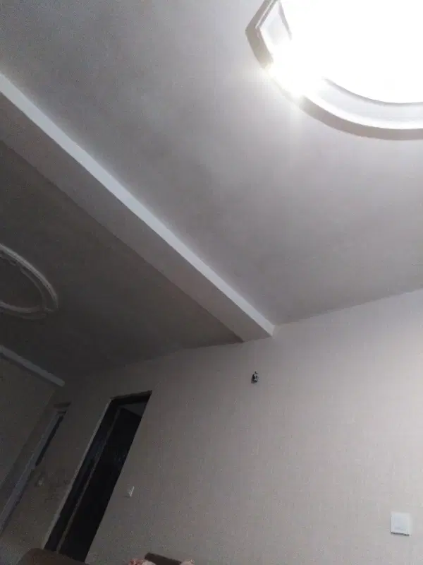 همخونه
