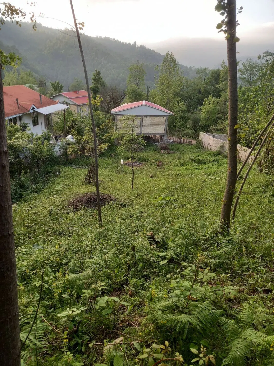 زمین مسکونی