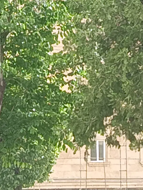 اجاره واحد ۱۶۰متری بهار ۱۱