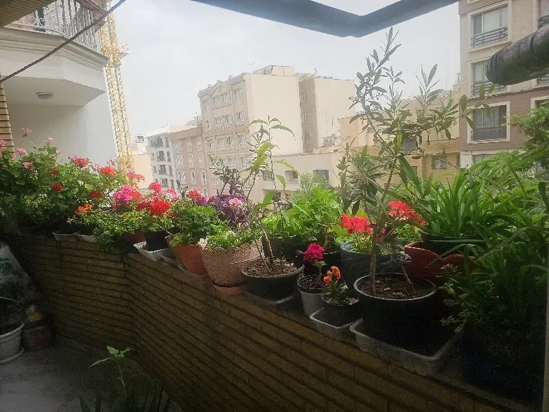آپارتمان اجاره ای 75 متر ۲خواب شهرک امام خمینی