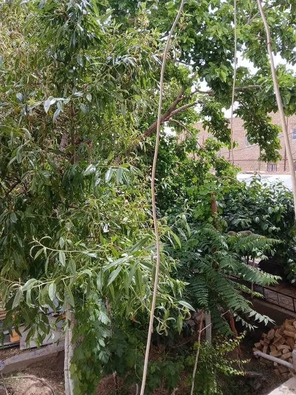 خانه دوخواب