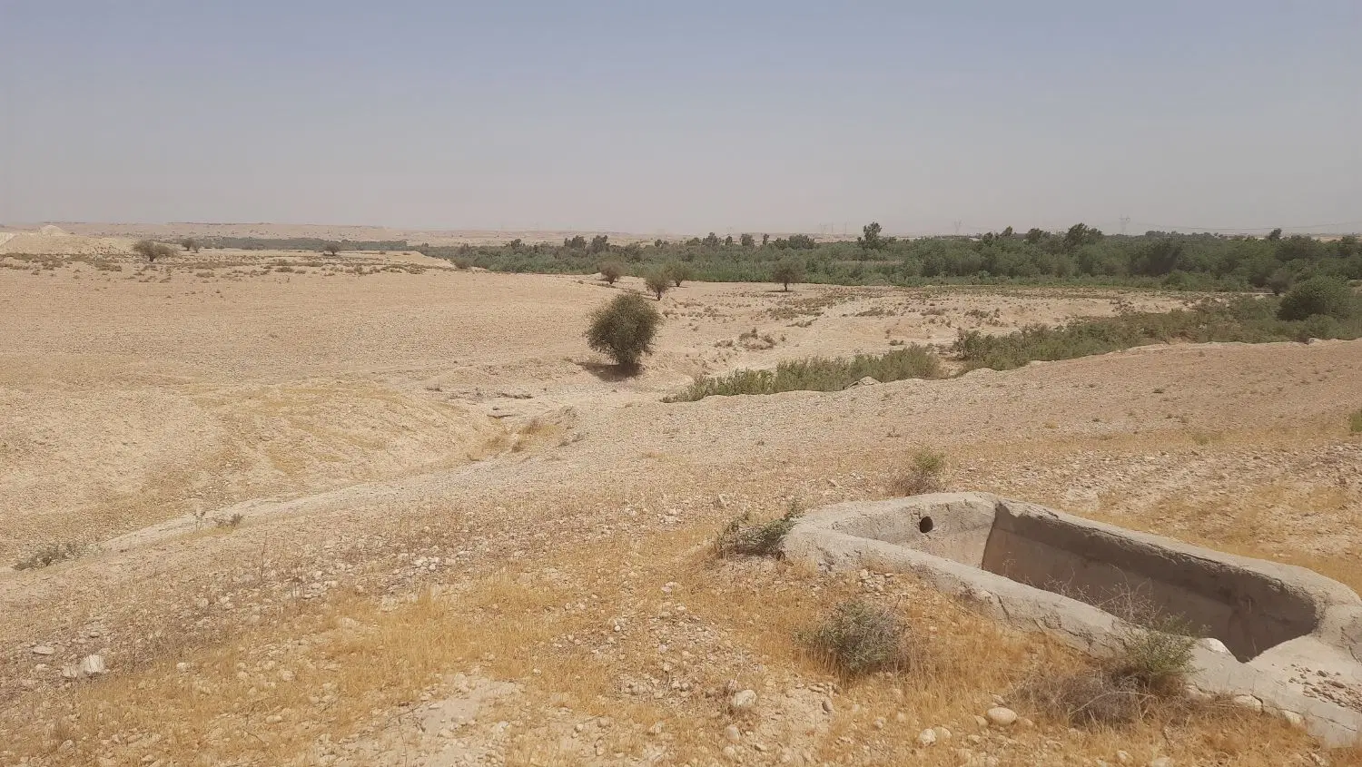 زمین جهت باغ ویلا