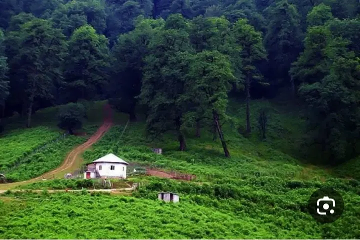 زمین باغ شهری