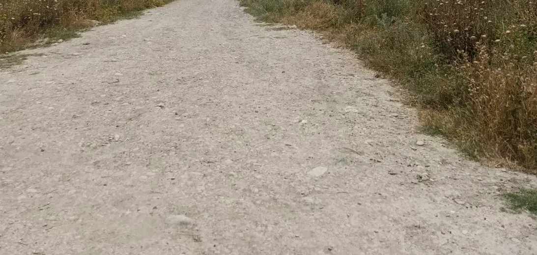 زمین باغی ۵۰۰متر به بالا رامهرمز