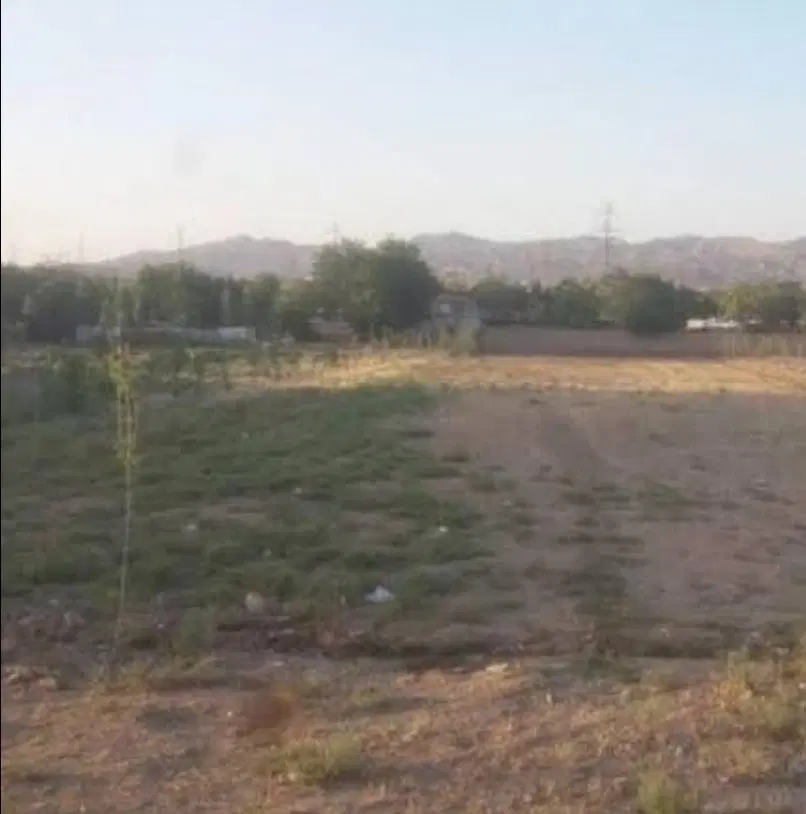 زمین مسکونی در امیریه