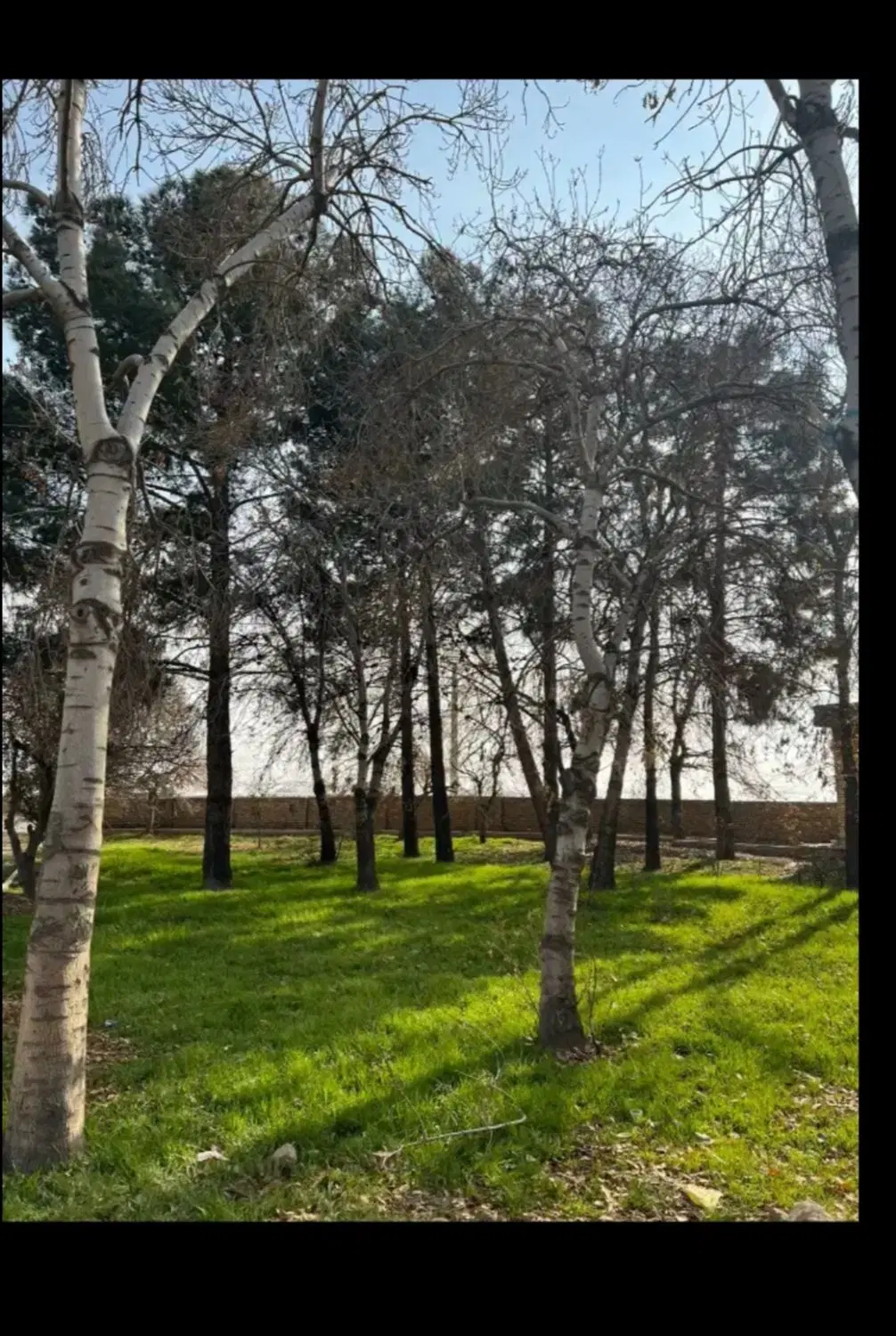 زمین کشاورزی دهقاضی و جاده زیدآباد .جهت باغ ویلا