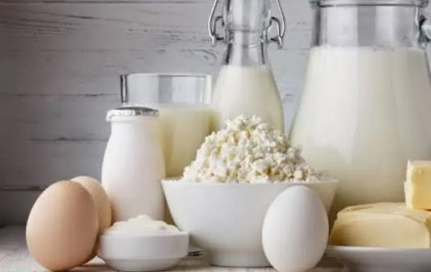 واگذاری لبنیاتی