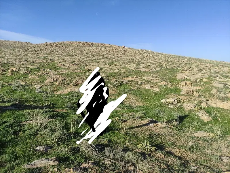 معدن شن ماسه کوهی خام