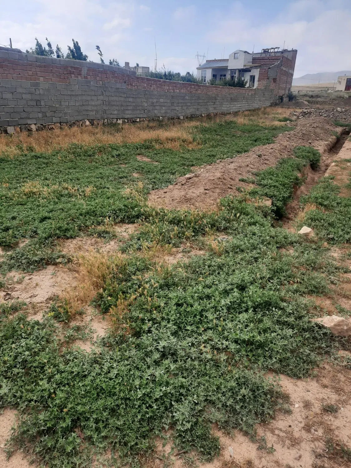 فروش زمین مسکونی روستایی گرده